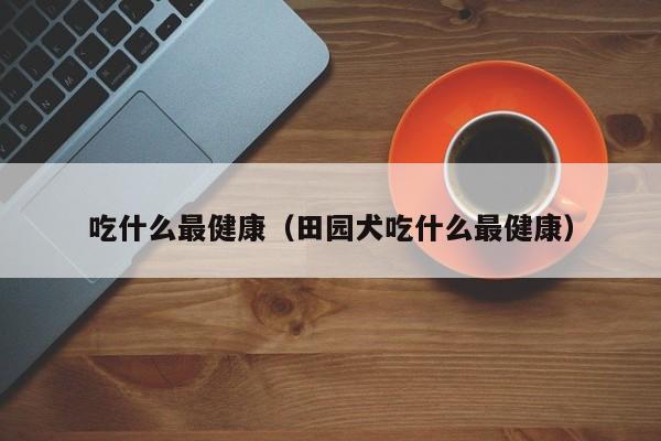 吃什么最健康(田园犬吃什么最健康)